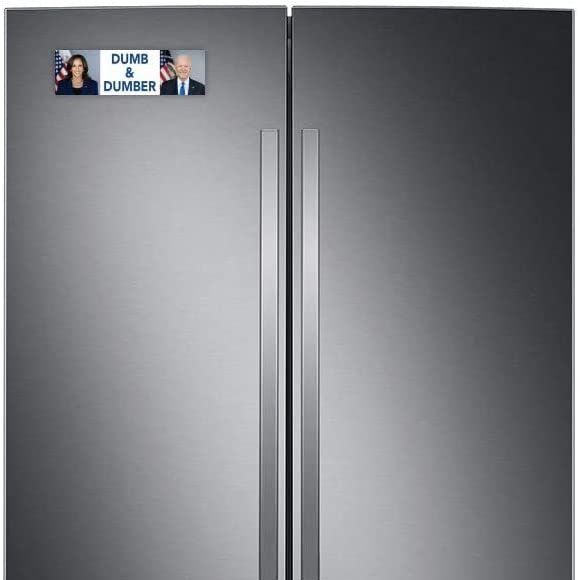 Dumb and Dumber spoof magnet on a silver refrigerator
